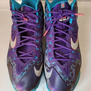 Nike LeBron 11 "Hornets"
